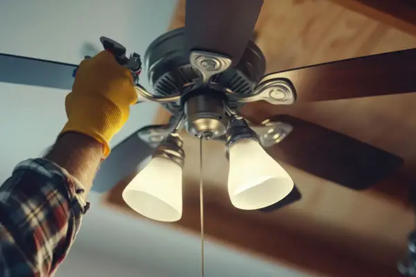 Install Ceiling Fans