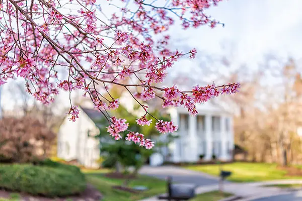Home Electrical checklist for springtime