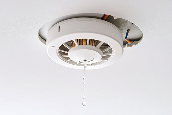 Water in electrical system
