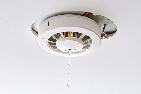 Water in electrical system